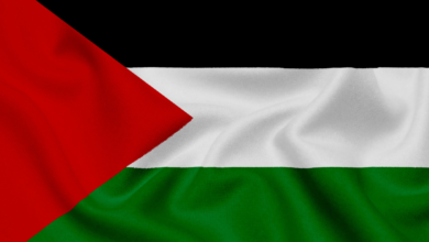 صورة علم فلسطين يرفرف في أروقة منظمة الصحة العالمية لأول مرة.. وغضب إسرائيلي،
