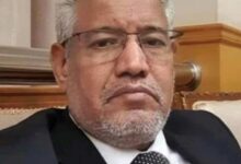 صورة من “جوول” إلى “فيينا”: على خطى البرفسور “حامدون”الدكتور محمد السالك ابراهيم،