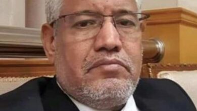 صورة من “جوول” إلى “فيينا”: على خطى البرفسور “حامدون”الدكتور محمد السالك ابراهيم،