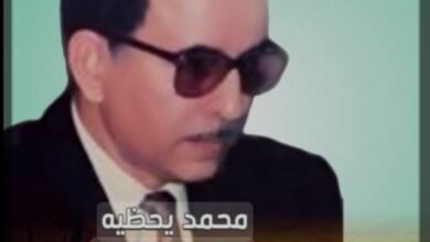 صورة العاشر يوليو/  بقلم المفكر الراحل محمد يحظيه ولد بريد الليل