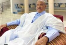 صورة أيها الناس،غزة…إبادة العار أمام أعينكم/ السيد ولد الغيلاني،