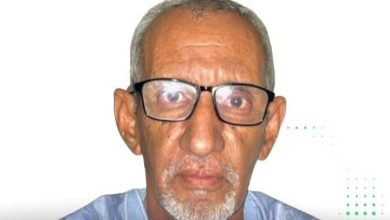 صورة بين العدالة الاجتماعية والسلام الأهلي: قراءة في قضية لحراطين والواقع الموريتاني/بقلم: حمادي سيدي محمد آباتي