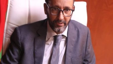 صورة العربية اللسان لا الانتساب لقوم معينين/ الوزير السابق المهندس المختار جاجيه،