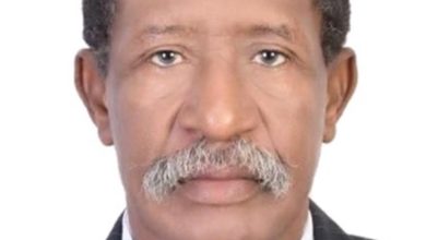 صورة رد على العريضة المطالبة بالنص في الدستور على جعل لحراطين مكونة/الاستاذ احمد فال بركه،